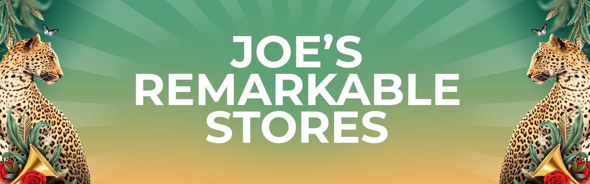 Our Stores
