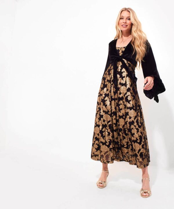 Belle Jaquard And Velvet Dress