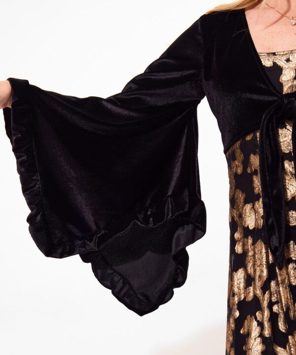 Belle Jaquard And Velvet Dress